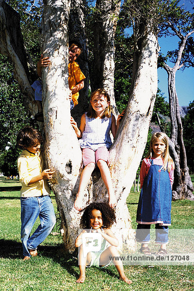 Freunde spielen auf einem Baum