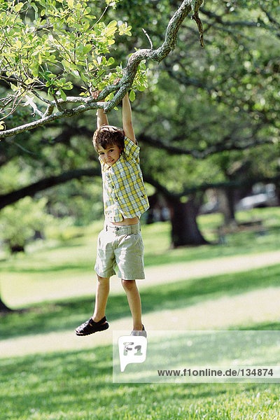 Junge schwingt vom Baum