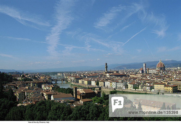 View of the city  Florence  Italy