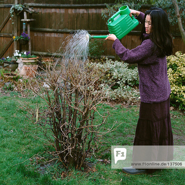Frau beim Gießen einer trockenen Pflanze