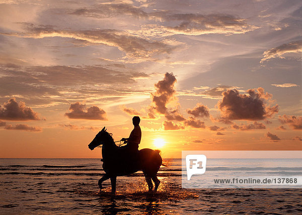Person riding horse in sea at sunset