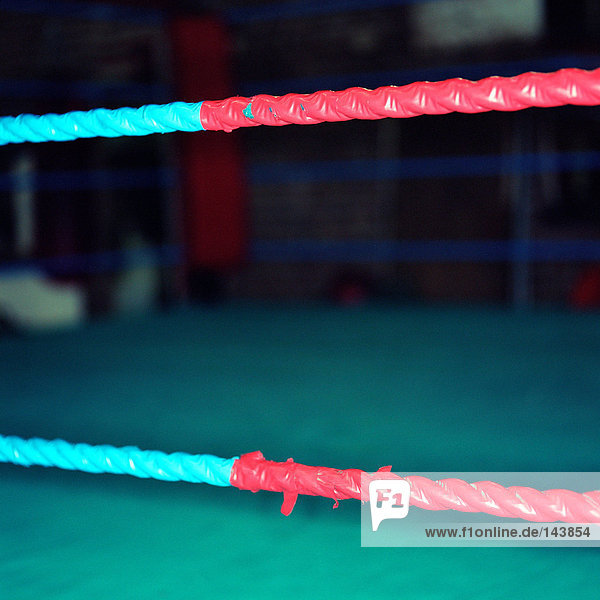 Boxring