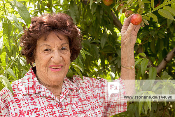 Porträt einer älteren Frau mit Apfelbaum