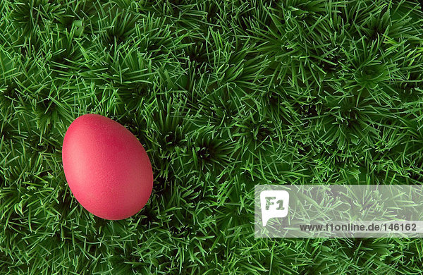 Pink easter egg on grass