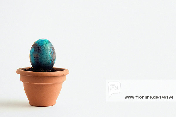 Easter egg in flower pot