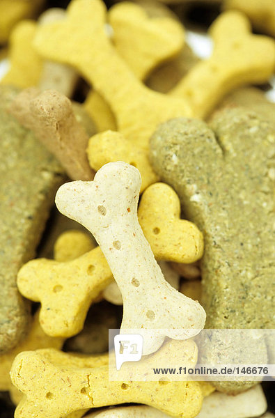Close-up of dog biscuits