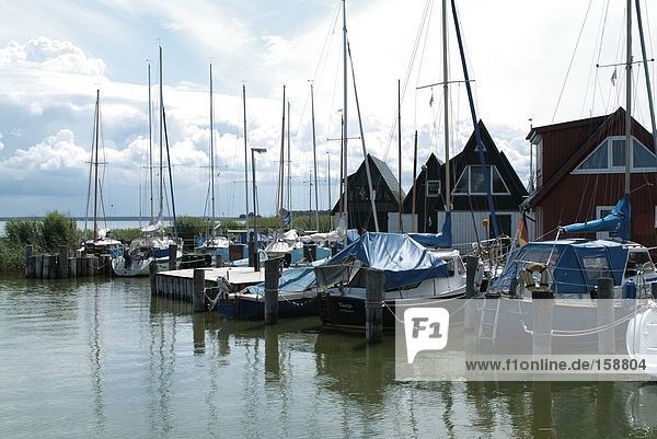 Fischerboote in Harbor  Ahrenshoop  Halbinsel Fischland-Darß-Zingst  Mecklenburg-Vorpommern  Deutschland