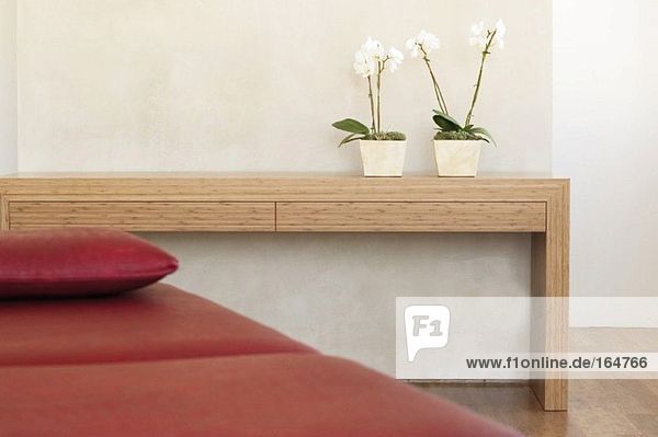 Zwei Topforchideen vor der Wand im Regal mit roter Couch