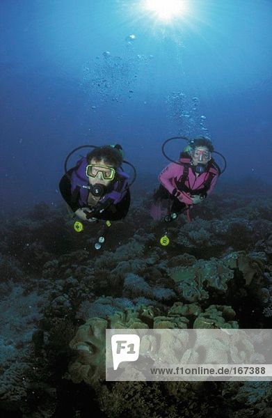 Scuba divers over corals