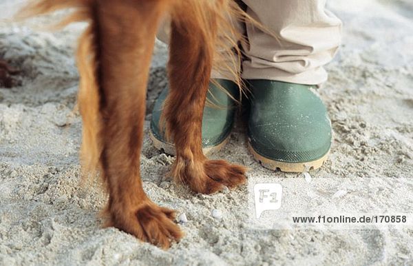 Nahaufnahme der Beine von Mensch und Hund
