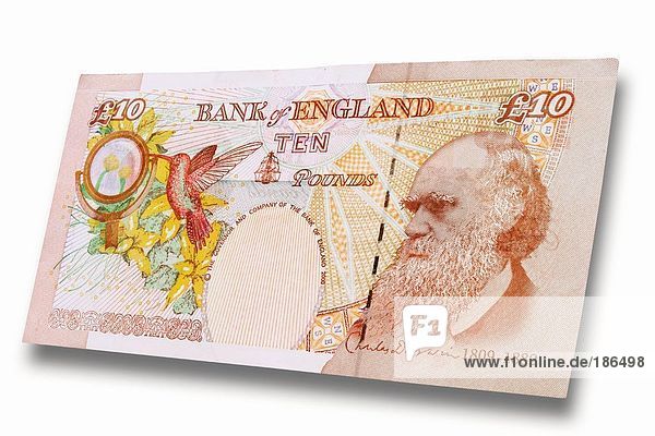 Britische Banknoten Zehn Britische Pfund Nahaufnahme