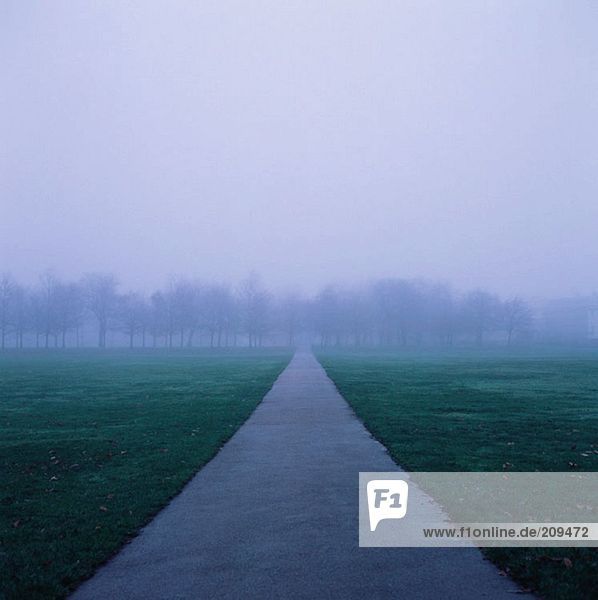 Parken im Nebel