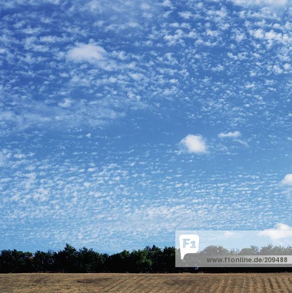 Wolken über einem Feld