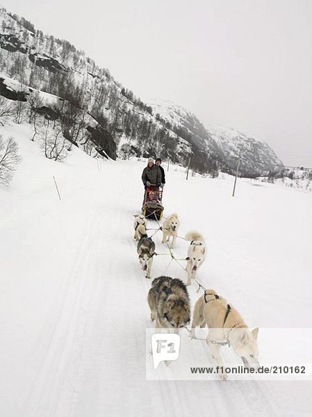 Family on a dog sled