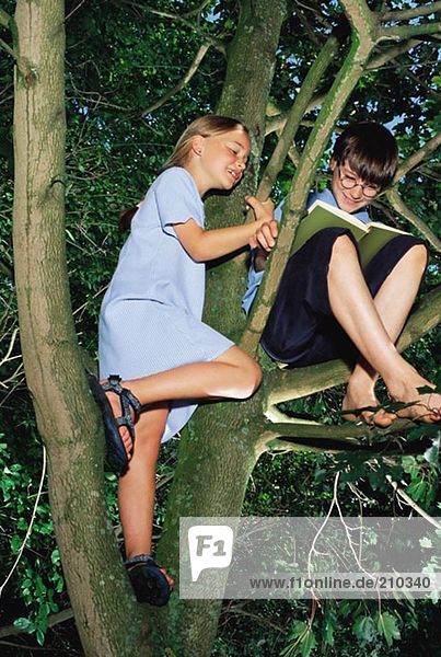 Mädchen beobachtet Jungen beim Lesen in einem Baum