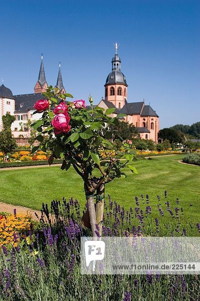 Formaler Garten vor der Kirche  St. Einhard Kirche  Seligenstadt  Landkreis Offenbach  Hessen  Deutschland
