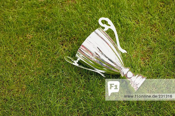 Trophy on football pitch