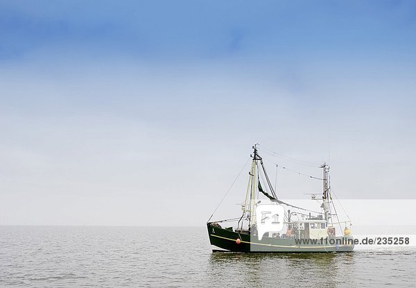 Fischerboot am Wattenmeer  Ostfriesland  Deutschland