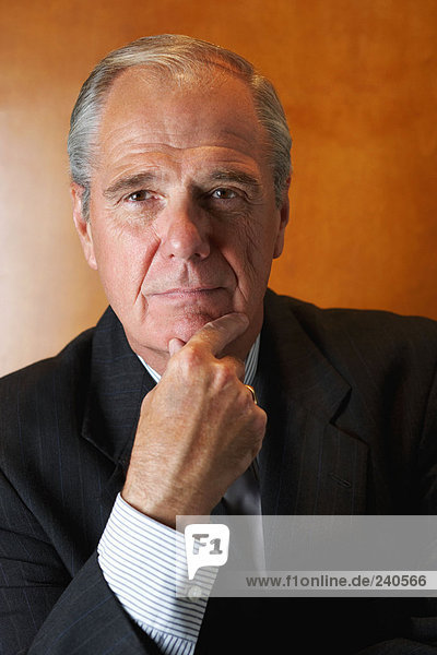 Portrait of a senior businessman