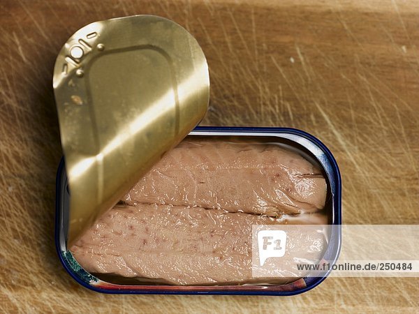Thunfischdose Nahaufnahme erhöhte Ansicht