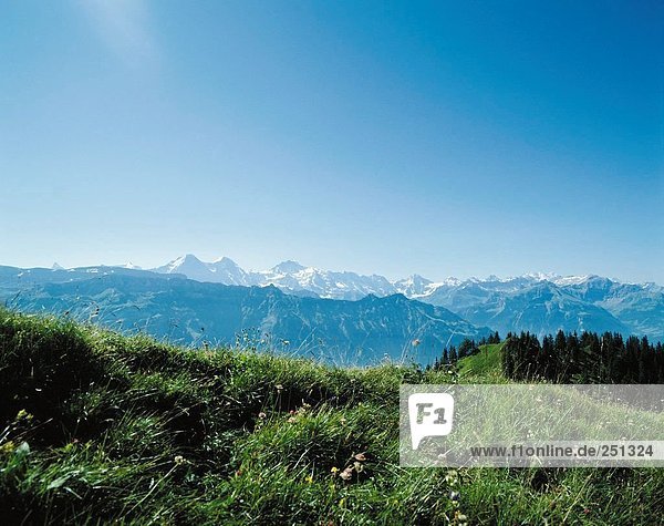 Landschaftlich schön landschaftlich reizvoll Berg Alpen Eiger Berner Oberland Kanton Bern Mönch Schweiz