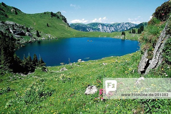 Landschaftlich schön landschaftlich reizvoll Europa Berg Sommer Alpen Berner Oberland Kanton Bern Schweiz