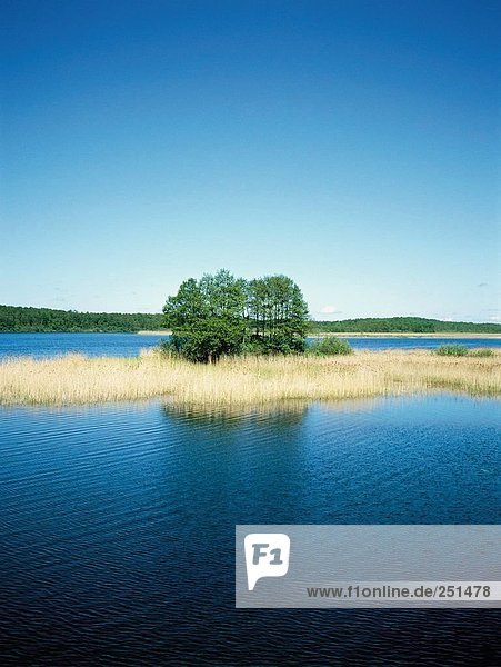 10226557  trees  island  isle  Kirsajty lake  sea  scenery  Masuria  Poland  reed  marshland
