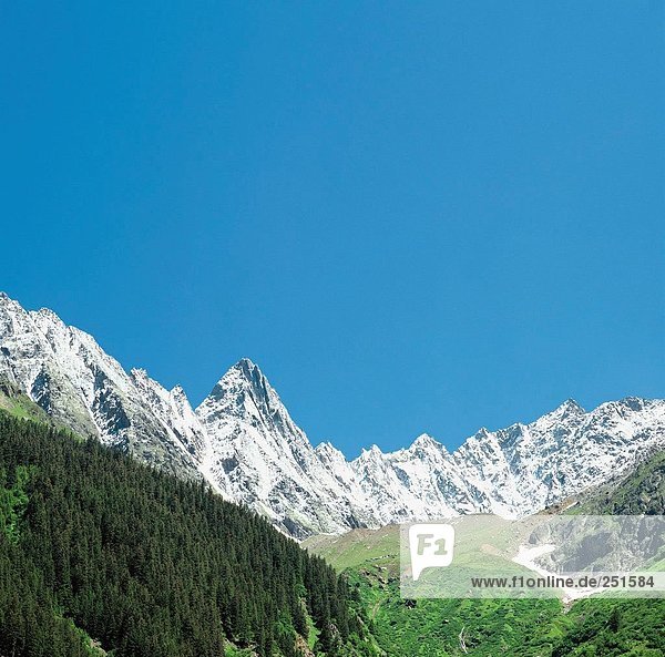 nahe Gebirge Landschaftlich schön landschaftlich reizvoll Berg Alpen Berner Oberland Kanton Bern Gebirgszug