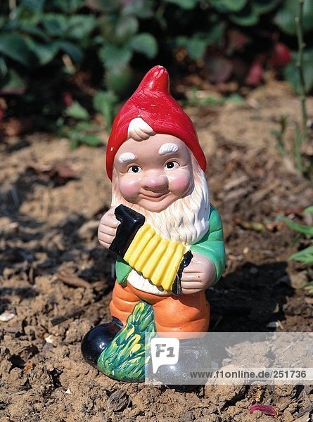 10367428 earth garden garden gnome accordion cap hat close-up play