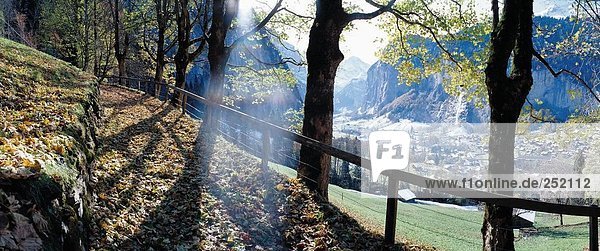 Panorama Landschaftlich schön landschaftlich reizvoll Berg Alpen Herbst Berner Oberland Kanton Bern Lauterbrunnen