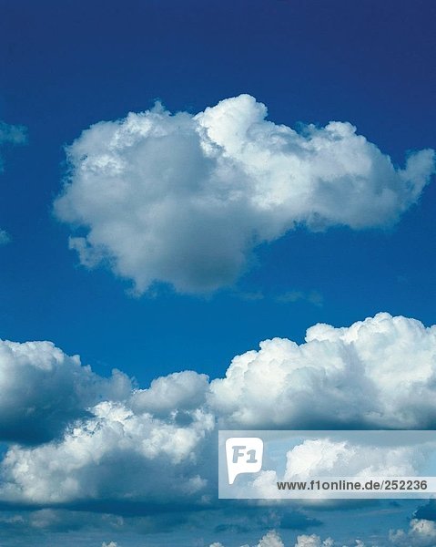 10113031  Cumuluswolken  Cumulus  Wolken  Wetter  Himmel  Wolke  Himmel  weiß  blau