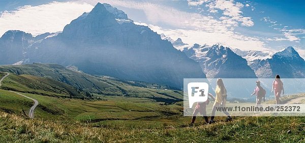 Panorama Berg Alpen