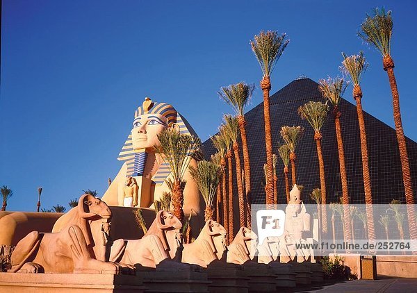Pyramide Replikat Hotel in City  Las Vegas  Luxor Hotel Casino  Luxor Hotel Sphinx  Nevada  USA