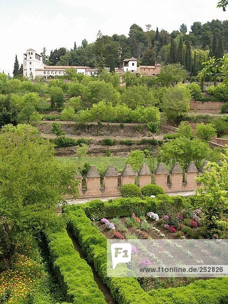 Kultivierte Feld nahe Palace  Alhambra  Granada  Andalusien  Spanien