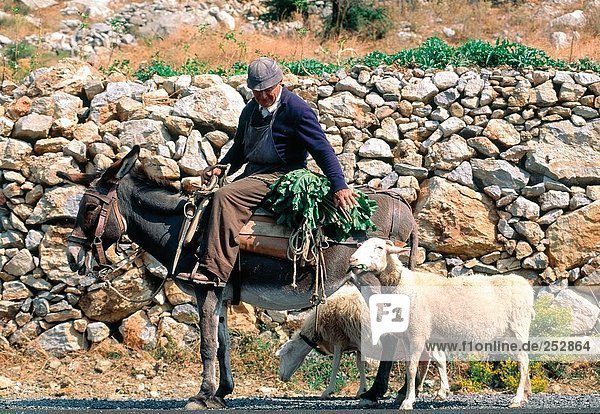 Side profile of man sitting riding donkey with goat on road  Greece