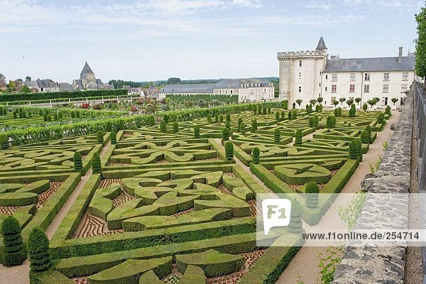 Formaler Garten vor der Burg  Chateau De Villandry  Villandry  Indre-Et-Loire  Frankreich