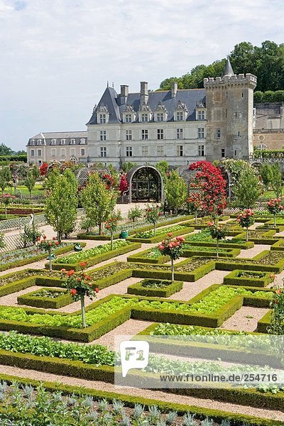 Formaler Garten vor der Burg  Chateau De Villandry  Indre-Et-Loire  Frankreich