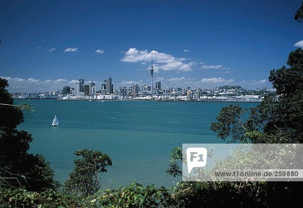 Reisen. Neuseeland. Auckland. Stadtüberblick.