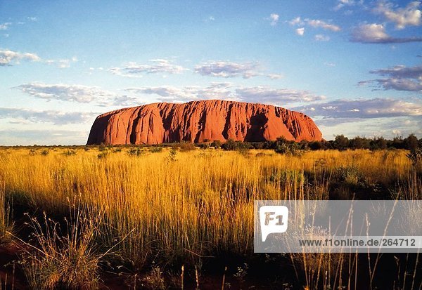 Rock formations on landscape  Uluru  Uluru-Kata Tjuta National Park  Northern Territory  Australia
