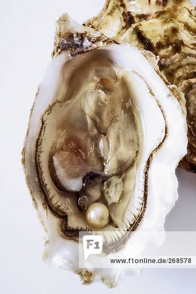 Geöffnete Auster mit Muschelfleisch und einer Perle
