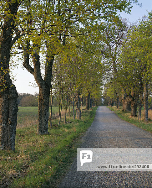 A country road on the countryside.
