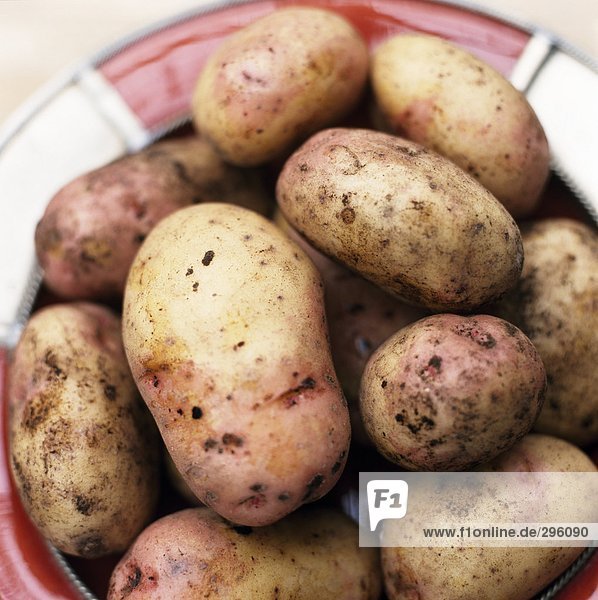 Kartoffeln in Großaufnahme Schüssel.