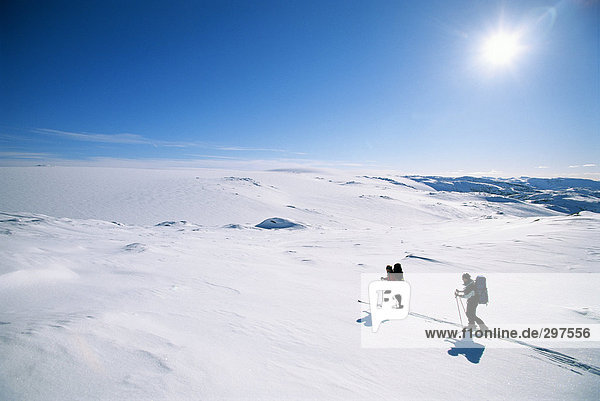 Two skiers in a deserted landscape.