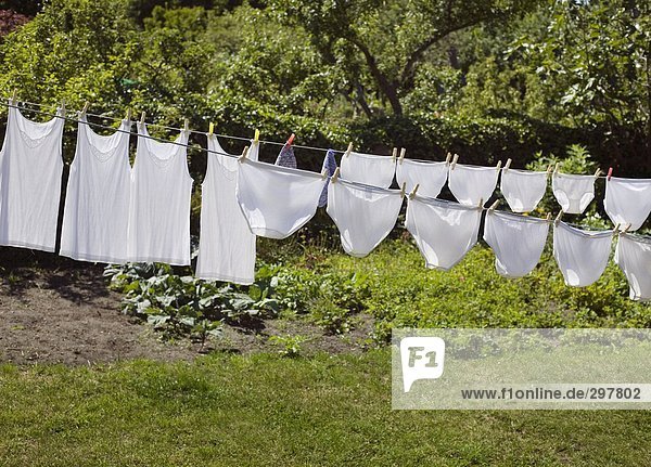 trocknen,Unterwäsche,Garten