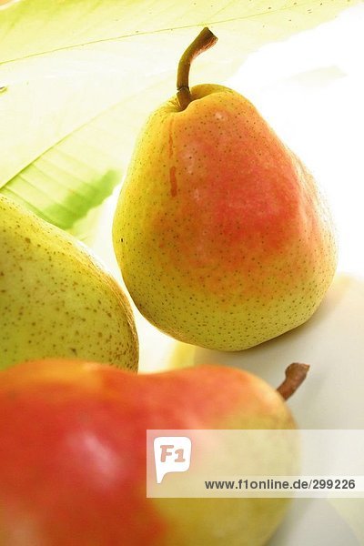 Close-up of pear