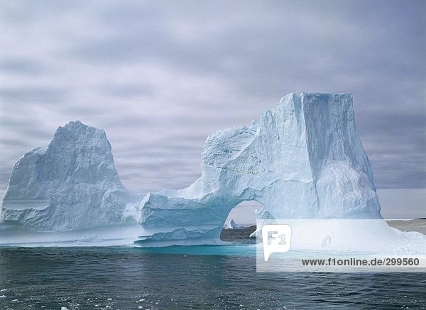 Eisberg floating in den Ozean  Grönland