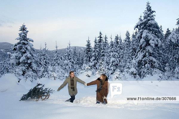 Couple walking in snow  carrying christmas tree