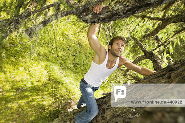 Junger Mann klettert auf Baum  erhöhte Ansicht