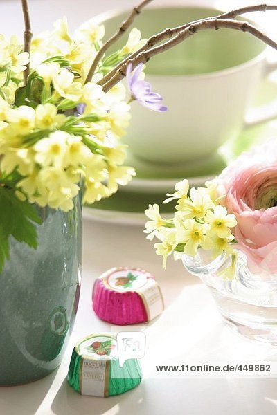 Nahaufnahme-Schlüsselblume Blumen in der vase