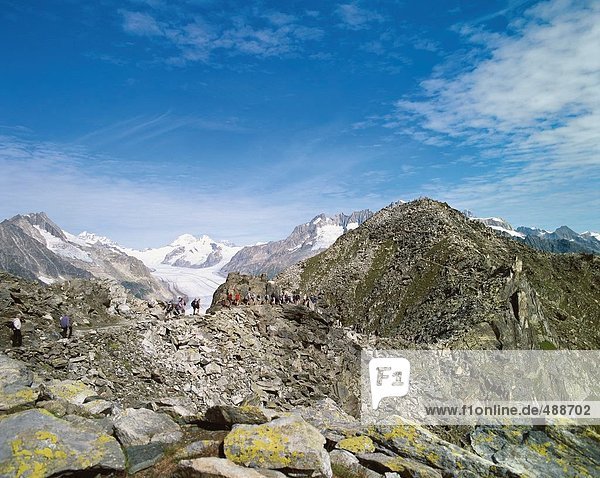 10653492  Aletsch  Aletschgletscher  Gletscher  Schweiz  Europa  Alpen  Berge  Mountainbike  Wandern  Eggishorn  Gletscher  canto